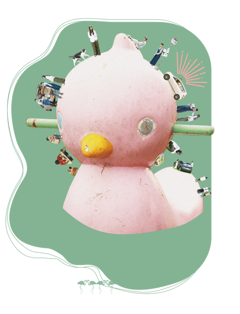 フラミンゴを探す旅